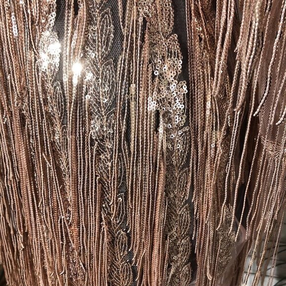 Bella Barnett Mini Dress Tassel Sequined Fringe Rose Pink Small - Picture 10 of 12